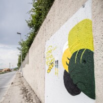 Graffiti Festival 2026 Preparation